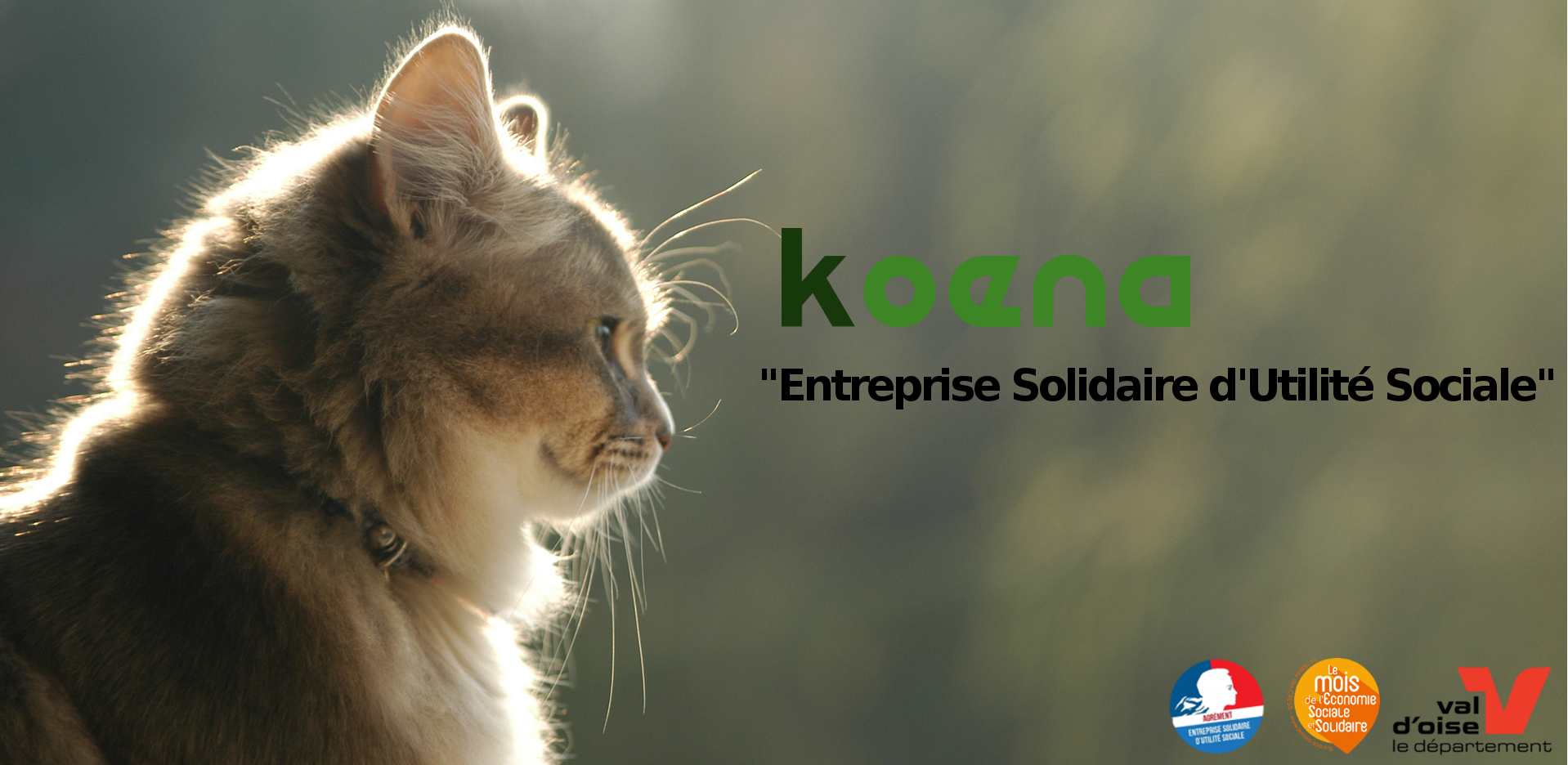 Koena "Entreprise Solidaire d'Utilité Sociale".